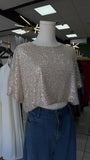 Beige Silver Sequins Top
