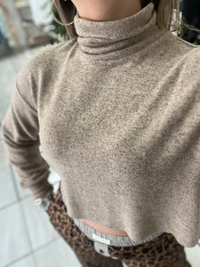 Cocoa TurtleNeck Crop Top